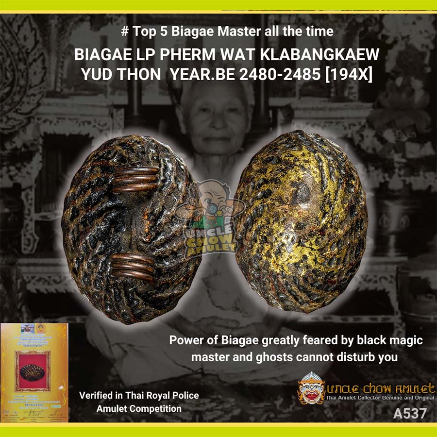thai amulet BIAGAE Yud Thon blessed by Luang Phor Pherm Wat Klang bang kaew