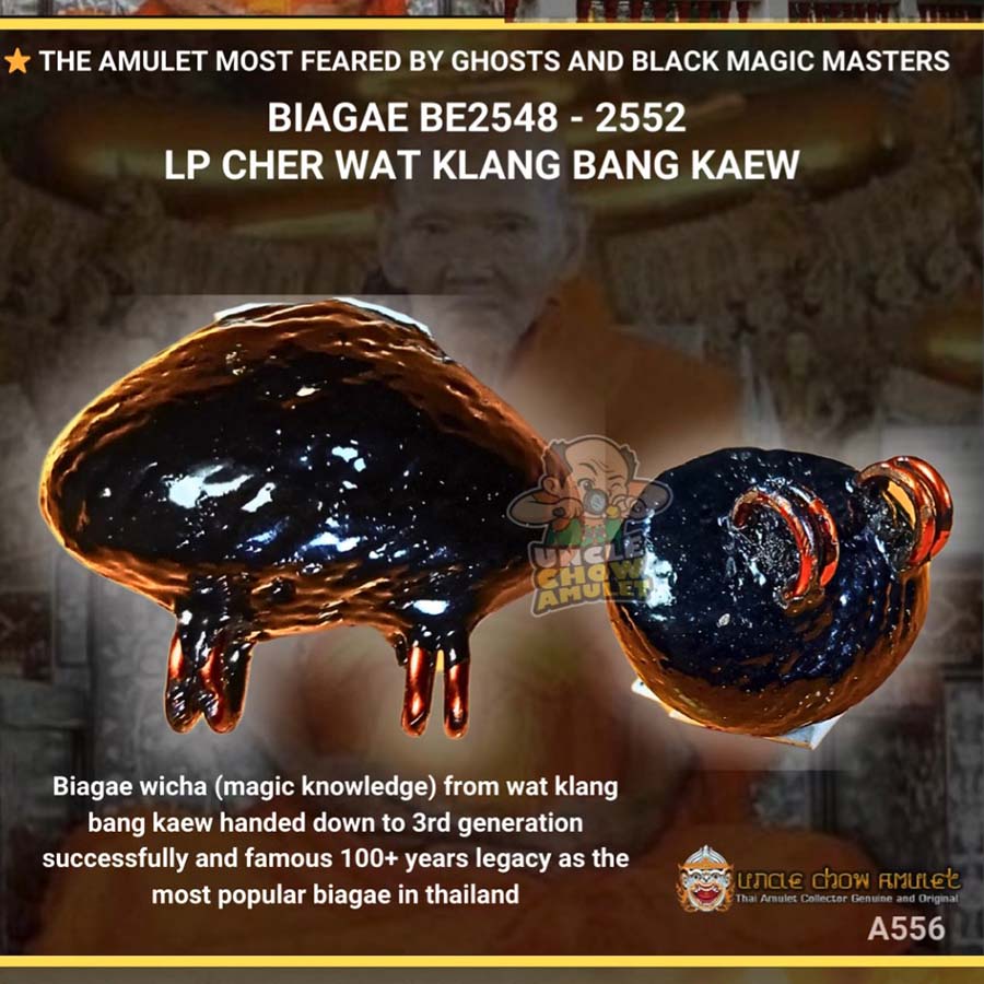 this thai amulet BIAGAE LP Cher Wat Klang bang kaew